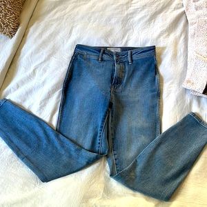Everlane The Way High Skinny Jean